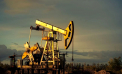 Pelliron 11.11.2024: Prețurile petrolului s-au schimbat puțin azi, pe măsură ce amenințarea cu întreruperea aprovizionării din cauza unei furtuni din SUA s-a diminuat - VIDEO