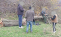 Tăieri ilegale de arbori într-o pădure din raionul Rîșcani: Inspectorii au aplicat amenzi - FOTO