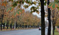 Vreme rece și posomorâtă. Câte grade se vor înregistra astăzi, dar și în următoarele zile. Prognoza meteo