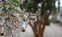  Vremea se răcește și vor cădea precipitații sub formă de lapoviţă şi ninsoare. Prognoza meteo