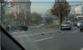 Dimineață cu ghinion pentru doi șoferi: S-au lovit violent pe o stradă din capitală. Imagini surprinse de martori - VIDEO