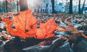 Maxime de 14 grade Celsius. Cum va fi vremea astăzi, dar și în următoarele zile. Prognoza meteo