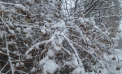 Lapoviță în toată țara. Câte grade se vor înregistra astăzi, dar și în următoarele zile. Prognoza meteo