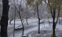 A venit iarna? În capitală cad primii fulgi - FOTO/VIDEO