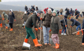 În premieră pentru Moldova, peste 1000 de angajați Orange au plantat o Pădure pentru viitor 