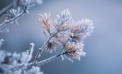 Maxime de 6 grade Celsius. Cum va fi vremea astăzi, dar și în următoarele zile. Prognoza meteo