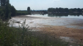 „Lacul Delia” și terenul aferent de 111 hectare va fi transmis, pentru renovare, în proprietatea primăriei municipiului Ungheni. Decizia Guvernului
