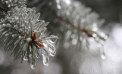 Ploaie și lapoviță în toată țara. Câte grade se vor înregistra astăzi, dar și în următoarele zile. Prognoza meteo