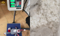 Peste un kilogram de droguri, ascunse în jucării de pluș: Ingeniozitatea unui moldovean și o ucraineancă, dată peste cap de vameși - FOTO