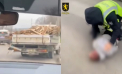 Urmărire ca-n filme pe străzile din capitală. Momentul în care un șofer băut încearcă să fugă de poliție - VIDEO