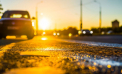 Primăvară la mijloc de iarnă. Pentru astăzi meteorologii prognozează maxime de 15 grade în sudul țării
