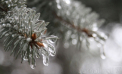 Va cădea lapoviță în nordul și centrul țării. Câte grade se vor înregistra astăzi, dar și în următoarele zile. Prognoza meteo