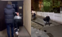 Bătaie în noaptea de Revelion: Doi adolecenți au fost agresați de patru tineri în curtea unui bloc. Victimele au ajuns la spital cu mai multe răni, agresorii sunt plasați în arest - VIDEO