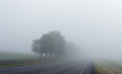 Un nou cod GALBEN de ceață pe întreg teritoriul țării - emis de meteorologi. Până când va fi valabilă avertizarea  - FOTO