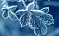 Vremea se răcește: Noaptea mercurul în termometre va coborâ până la -4 grade. Prognoza meteo