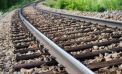 Un angajat al CFM Ocnița, condamnat la muncă neremunerată pentru tăiere ilegală a mai multor copaci din zonele de protecție ale căilor ferate