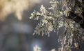 Vremea se răcește: Noaptea mercurul în termometre va coborâ până la -6 grade. Prognoza meteo
