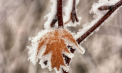 Vremea se răcește: Noaptea mercurul în termometre va coborâ până la -8 grade. Prognoza meteo
