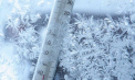 Cer noros şi temperaturi minime de până la -10 grade Celsius. Cum va fi vremea astăzi, dar și în următoarele zile. Prognoza meteo