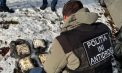 Trei persoane - reținute și plasate în arest pentru 30 de zile, după ce ar fi transportat și vândut droguri. Ce au găsit polițiștii în urma perchezițiilor - VIDEO