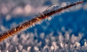 Cer noros şi temperaturi minime de până la -15 grade Celsius. Cum va fi vremea astăzi, dar și în următoarele zile. Prognoza meteo