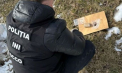 Două persoane, reținute pentru 72 de ore, după ce poliția a descoperit droguri în valoare de aproximativ 400 de mii de lei. Câți ani pot sta închiși aceștia - VIDEO