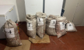 Patru moldoveni, documentați de polițiștii de frontieră pentru transportarea ilegală a peste 250 kilograme de pește. Ce au spus aceștia - FOTO 
