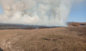 O persoană ar fi dat foc vegetației uscate în zona de protecție a râulețului Ciorna. Cu ce amendă s-ar putea alege - FOTO/VIDEO