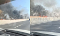Incendiu puternic în apropiere de orășelul Vatra. Flăcări puternice au cuprins zona de lângă lacul Ghidighici. Imagini surprinse de martori - VIDEO 