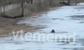 Clipe de groază pentru un bărbat din capitală: S-a prăbușit sub gheața unui lac. Momentul, surprins de martori - VIDEO