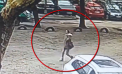 Rețineri în schema „ruda implicată în accident”: Șase persoane, inclusiv adolescenți, suspectați de înșelăciunea a cinci persoane. Câți bani au reușit să estorcheze de la ei - VIDEO