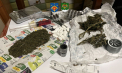 Schemă de contrabandă cu droguri, pusă la cale de trei bărbați din Comrat şi Cimișlia: Le aduceau din Ucraina, ascunse printre colete - VIDEO