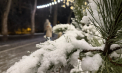 Cer noros şi lapoviță în toată țara. Cum va fi vremea astăzi, dar și în următoarele zile. Prognoza meteo