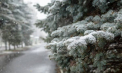 Cer variabil și maxime de până la 9 grade. Cum va fi vremea astăzi, dar și în următoarele zile. Prognoza meteo