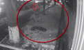 Au furat bunuri în valoare de 22 500 de lei: Un adolescent - cercetat penal, iar un tânăr, reținut pentru 72 de ore. Momentul a fost surprins de o cameră de supraveghere - VIDEO