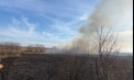 Incendiu de vegetație la Edineț. Mai multe echipe de pompieri au intervenit pentru a stinge flăcările. Imagini surprinse de martori - VIDEO
