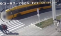 O femeie a fost transportată la spital, după ce a fost lovită de un autobuz pe trecerea de pietoni, la Tiraspol. Momentul impactului, surprins de o cameră de supraveghere - VIDEO