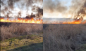 Incendiu puternic de vegetație în raionul Șefan Vodă: Flăcările au cuprins un câmp din zonă - VIDEO