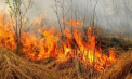 Peste 50 de incendii de vegetație s-au produs în ultimele 24 de ore. Cele mai recente intervenții ale pompierilor au avut loc la Bălți și la Ștefan Vodă - VIDEO
