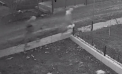 Au furat mai multe bunuri dintr-o gospodărie din Soroca: Trei bărbați - reținuți de polițiști. Ce pedeapsă vor primi - VIDEO

