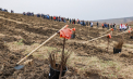 A început campania națională de împădurire: Peste 140 de mii de puieți - plantați în satul Geamăna, raionul Anenii Noi. Ministrul Mediului: „În toate raioanele țării se va planta” - VIDEO