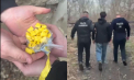 Captură de droguri de circa 500 de mii de lei, la Sîngerei. Poliția anunță reținerea a patru persoane. Imagini din timpul perchezițiilor - VIDEO  