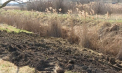 Noi detalii despre tragedia din Anenii Noi. Martorii spun că fratele și verișorul fetiței înecate într-un canal de scurgere au încercat să o salveze: „O fetiță a venit plângând și ne-a spus” - VIDEO