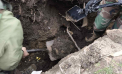 „Comoară” periculoasă, găsită într-un sat din Leova în timpul unor lucrări de instalare a rețelelor de gaz: Peste 52 de obiecte explozibile din perioada celui de-al Doilea Război Mondial