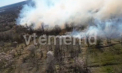 
Incendiu de vegetație în capitală. Cinci echipaje de pompieri au intervenit pentru a stinge flăcările. Imagini surprinse de martori - VIDEO