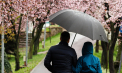  Nu uitați umbrelele acasă. Meteorologii anunță ploi slabe în nordul țării. Prognoza meteo