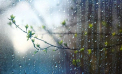 Va ploua în centrul și sudul țării. Cum va fi vremea astăzi, dar și în următoarele zile. Prognoza meteo