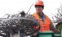 O familie de cocostârci din raionul Sângerei va avea parte de un cuib nou și mai rezistent la ploi și vânt, după ce mai mulți localnici s-au mobilizat au construit o carcasă de fier pe care au pus vreascuri noi - VIDEO