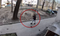 Un bărbat din stânga Nistrului poate sta închis până la 4 ani, după ce ar fi furat 60 de mii de lei din locuința unei femei. Acesta s-ar fi dat drept ruda unui vecin - VIDEO
