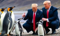 Niciun loc de pe pământ nu a fost scutit de taxele lui Trump. Liderul american a taxat insulele locuite doar de pinguini și foci. Internauții au creat sute de meme-uri amuzante - VIDEO